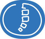 Knochenbau Icon